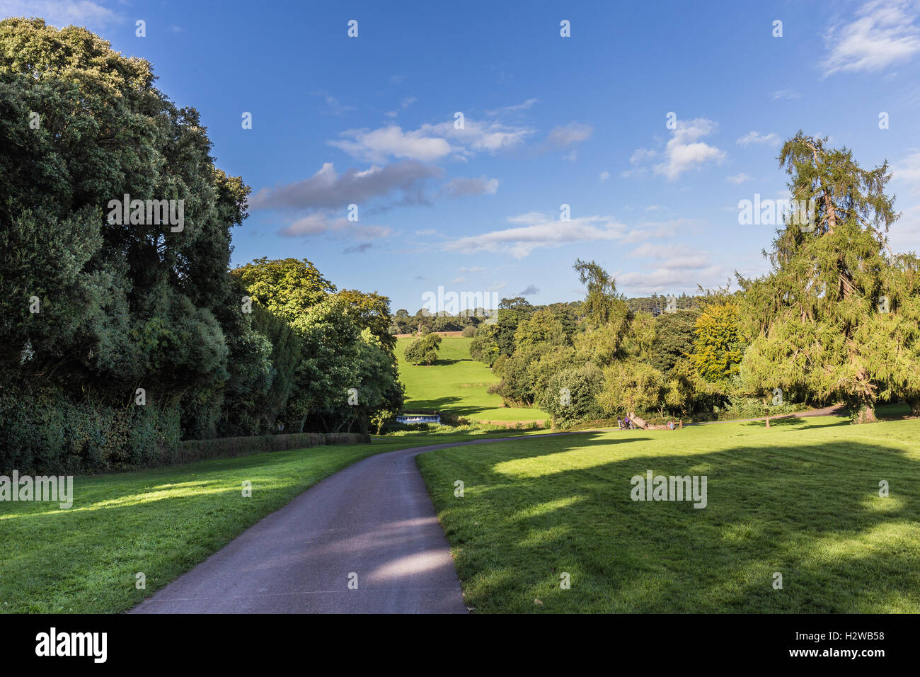 Irish Park Landscape Stock Photo