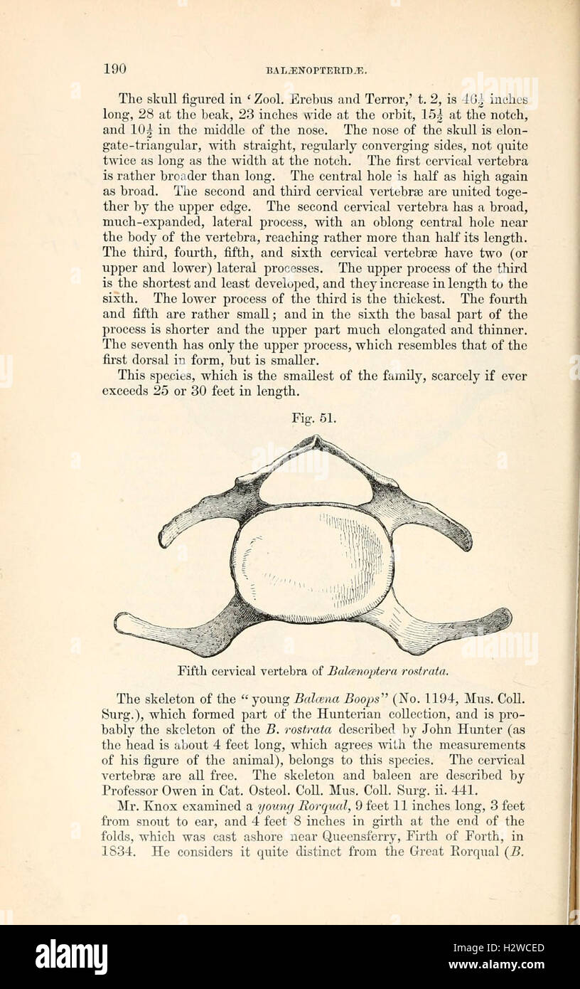 A catalogue documenting the species of seals and whales housed in the