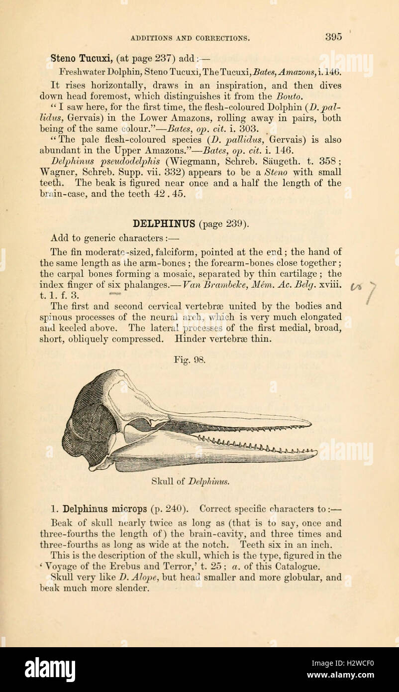 This catalogue presents an overview of the seals and whales housed in a