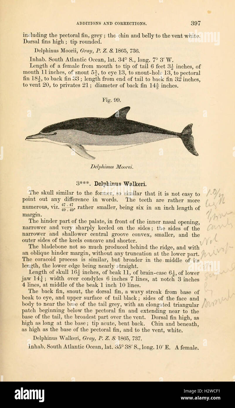 This catalogue includes detailed descriptions and classifications of