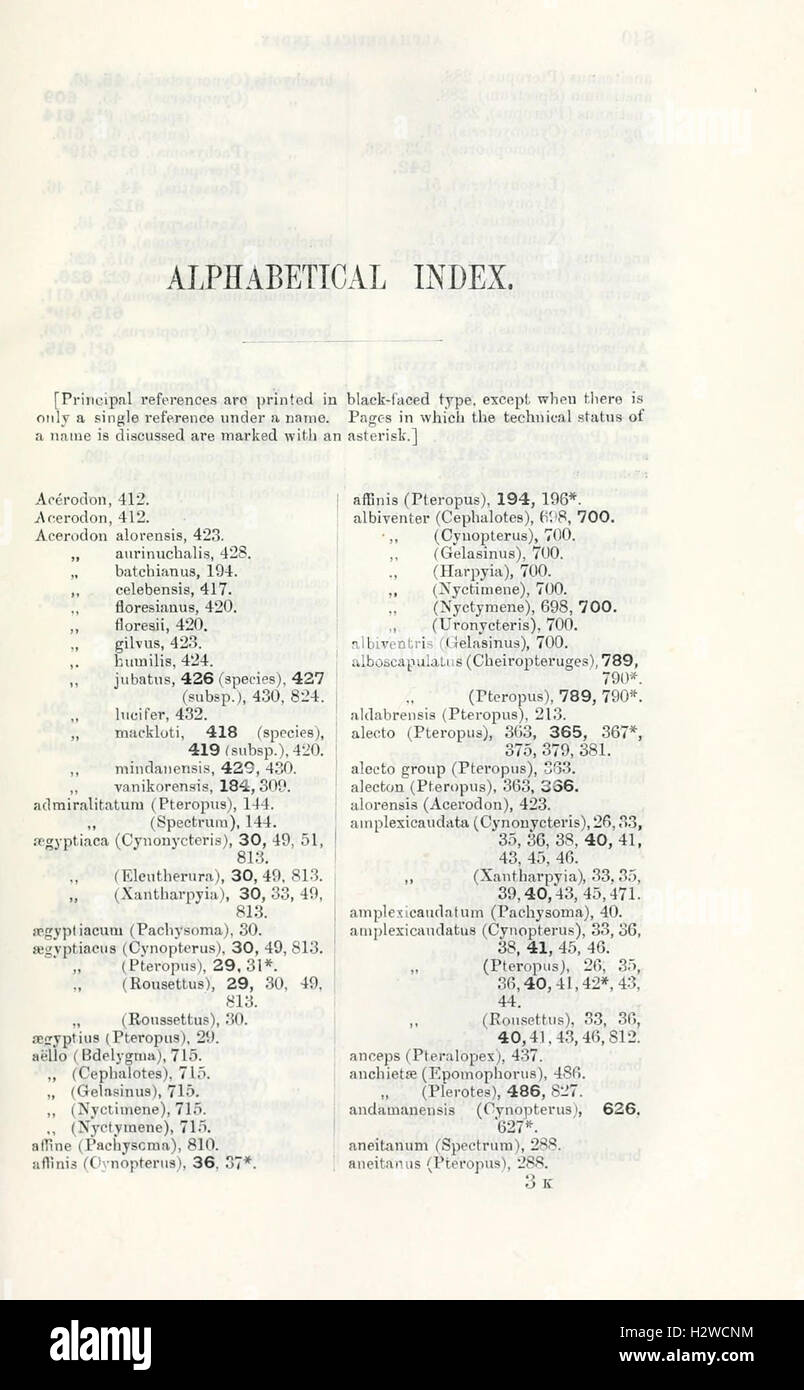 A detailed catalogue documenting the species of bats (Chiroptera ...