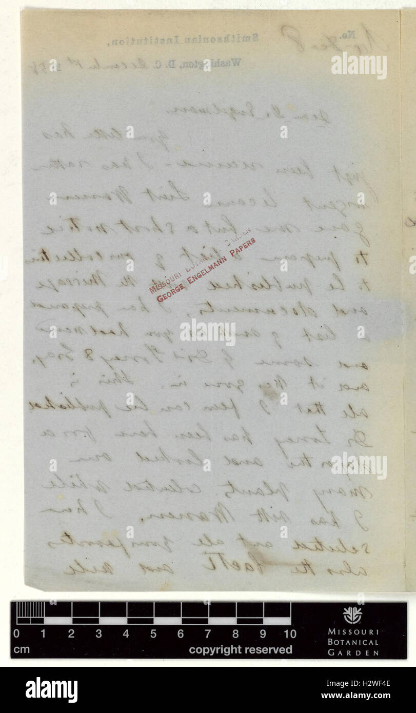 Correspondence - Hayden (Ferdinand) and Engelmann (George) (Dec 01, 1858 (1) verso) BHL435 Stock Photo