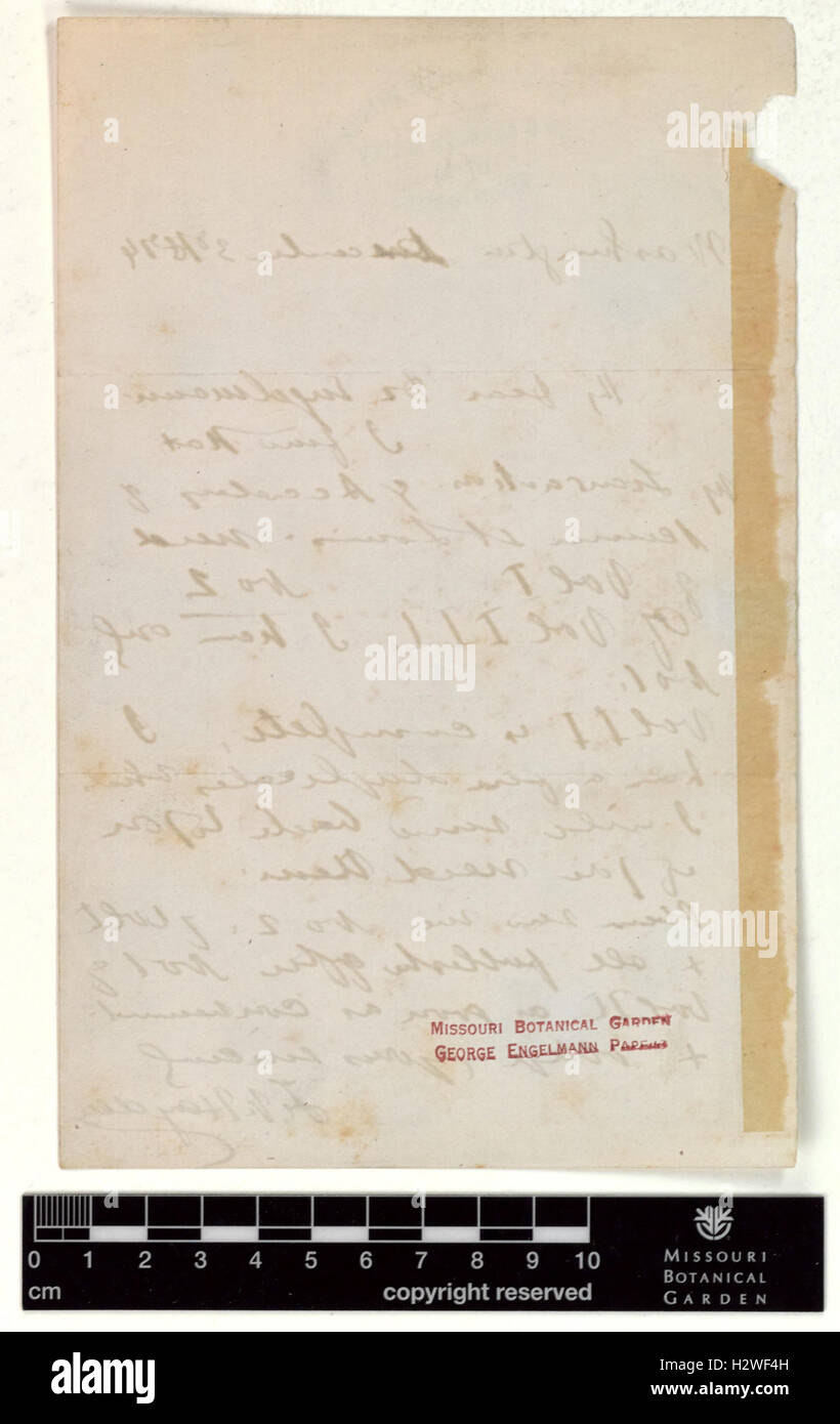 Correspondence - Hayden (Ferdinand) and Engelmann (George) (Dec 03, 1874 (1) verso) BHL435 Stock Photo