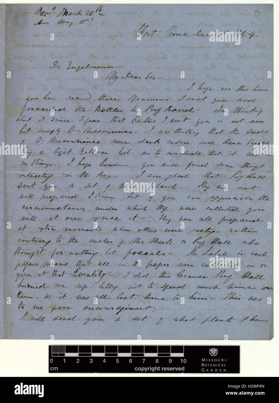 Correspondence - Hayden (Ferdinand) and Engelmann (George) (Dec 31, 1854 (1)) BHL435 Stock Photo