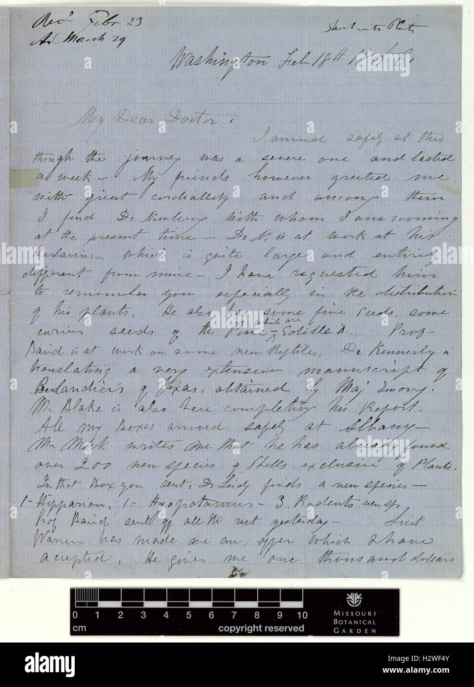 Correspondence - Hayden (Ferdinand) and Engelmann (George) (Feb 18, 1856 (1)) BHL435 Stock Photo