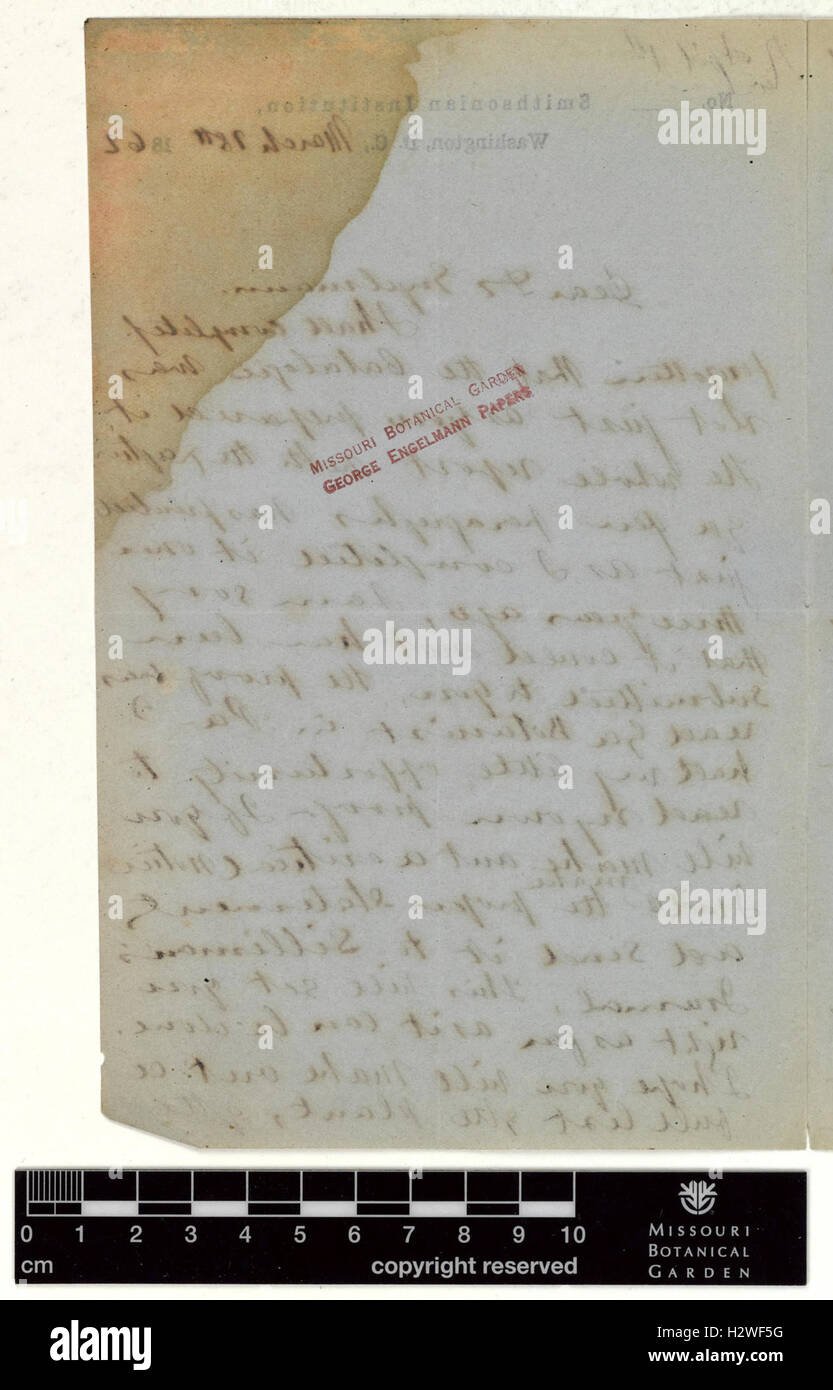 Correspondence - Hayden (Ferdinand) and Engelmann (George) (Mar 18, 1862 (2)) BHL435 Stock Photo