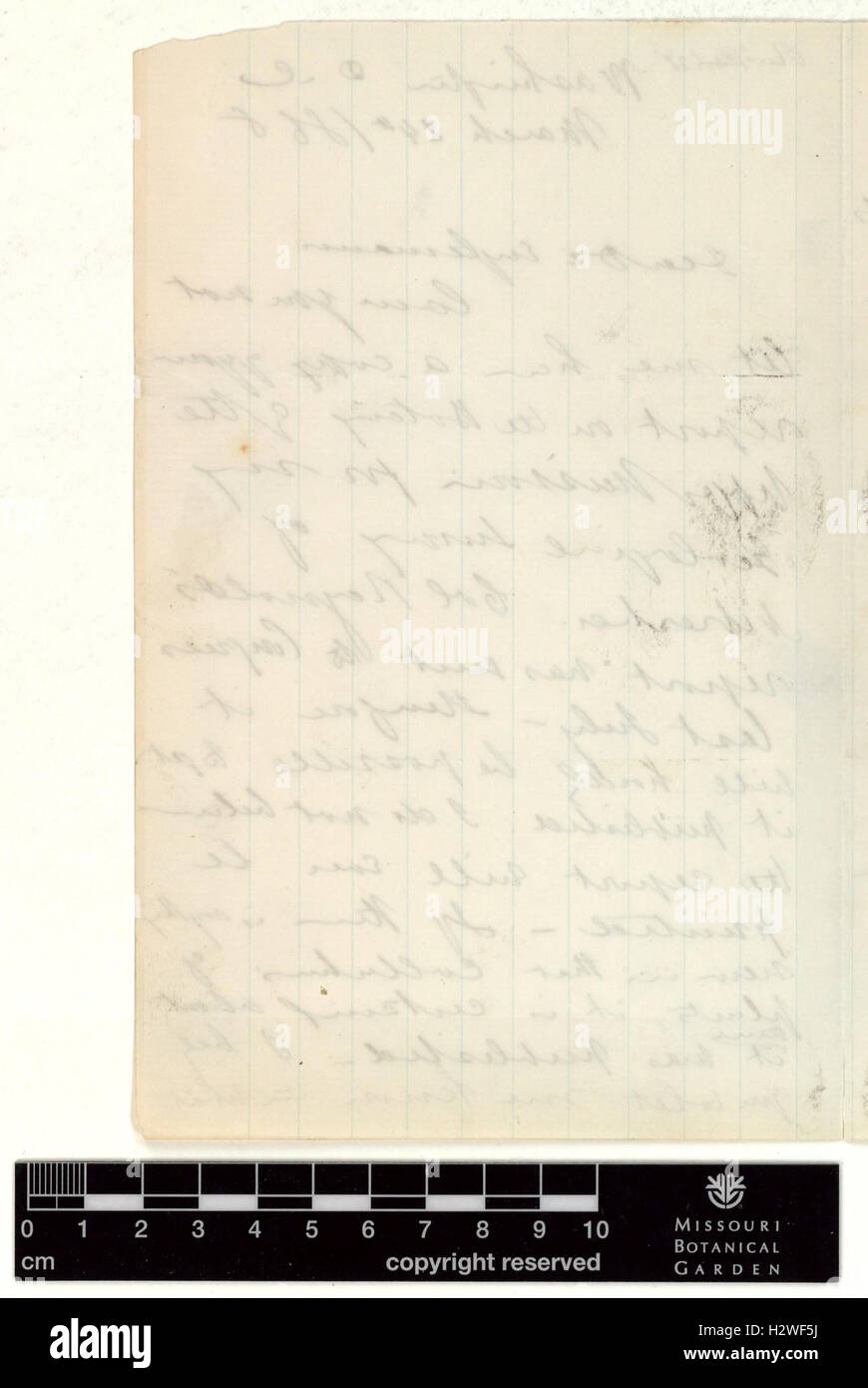 Correspondence - Hayden (Ferdinand) and Engelmann (George) (Mar 24, 1868 (2)) BHL435 Stock Photo
