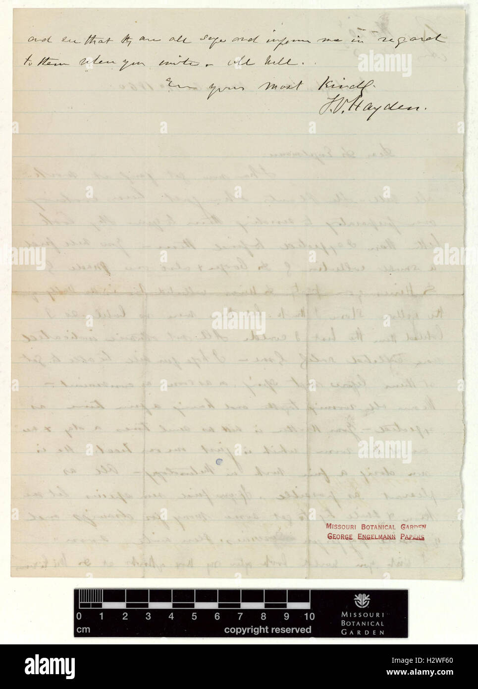 Correspondence - Hayden (Ferdinand) and Engelmann (George) (Nov 17, 1860 (1) verso) BHL435 Stock Photo