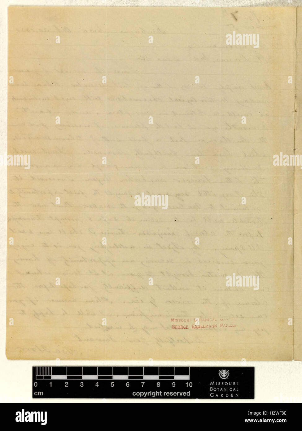 Correspondence - Horr (Asa) and Engelmann (George) (Oct 30, 1851 (1) verso) BHL435 Stock Photo