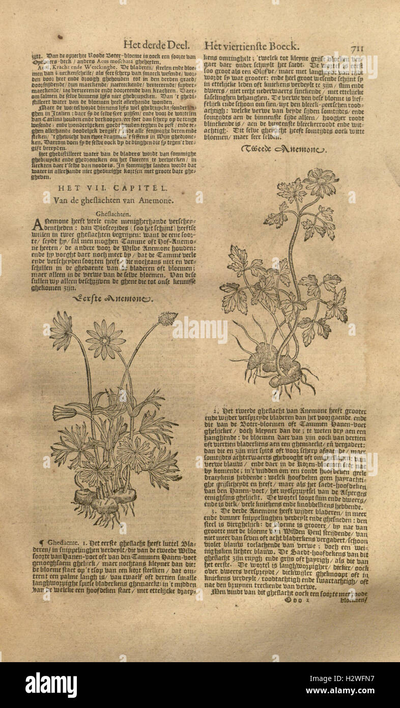 Botanical work details medical hi-res stock photography and images - Alamy