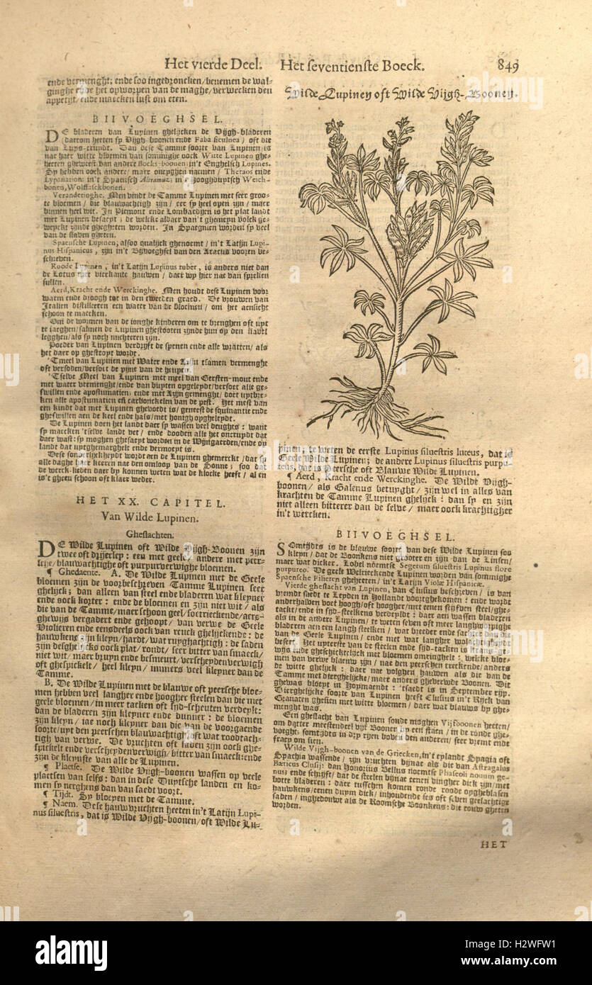 A botanical work by Rembert Dodoens, focusing on the latest ...