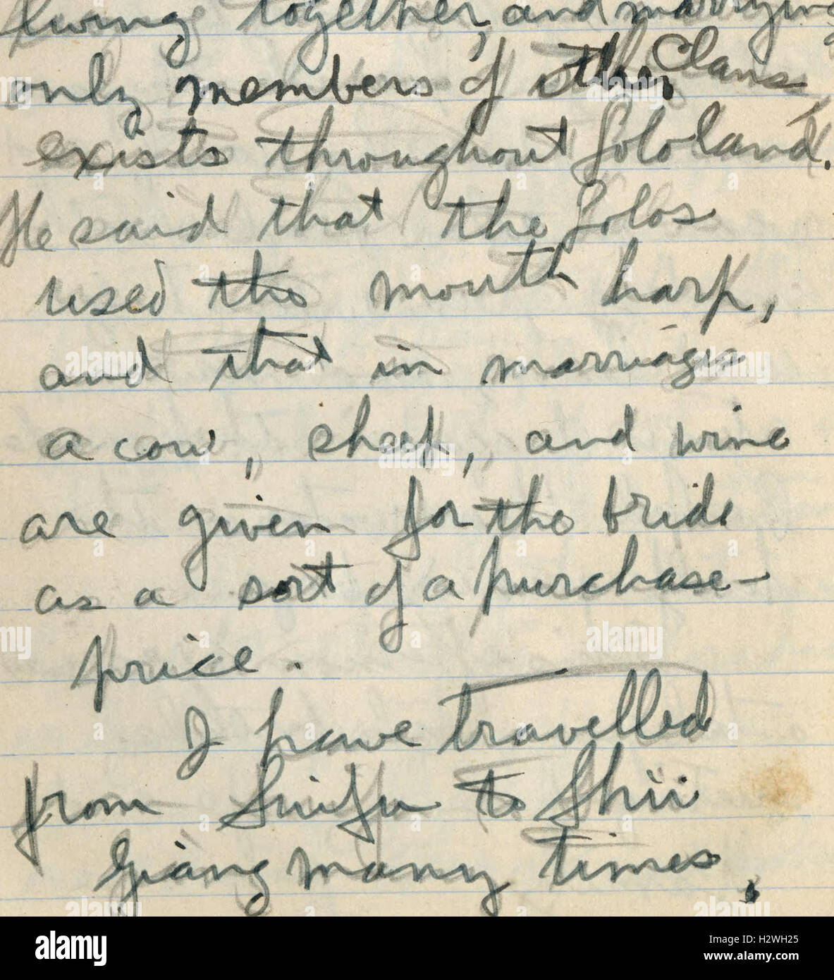 Diary no. 6, February 15, 1929-June 13, 1929 (1929) (2086913 Stock Photo