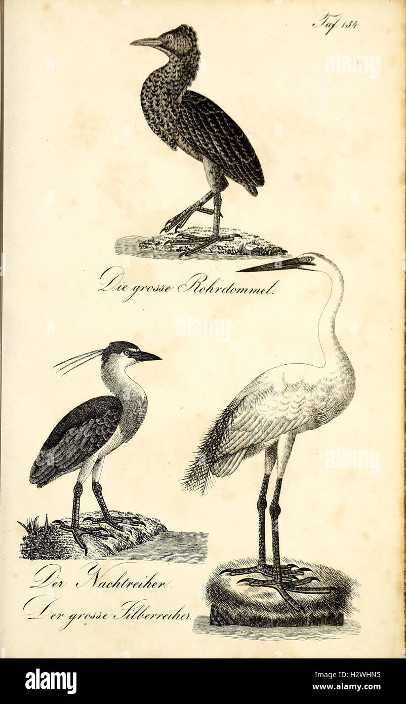This German work offers a detailed natural history with faithful ...