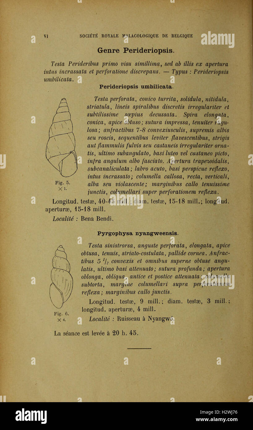 A journal dedicated to the study of malacology, including articles on ...