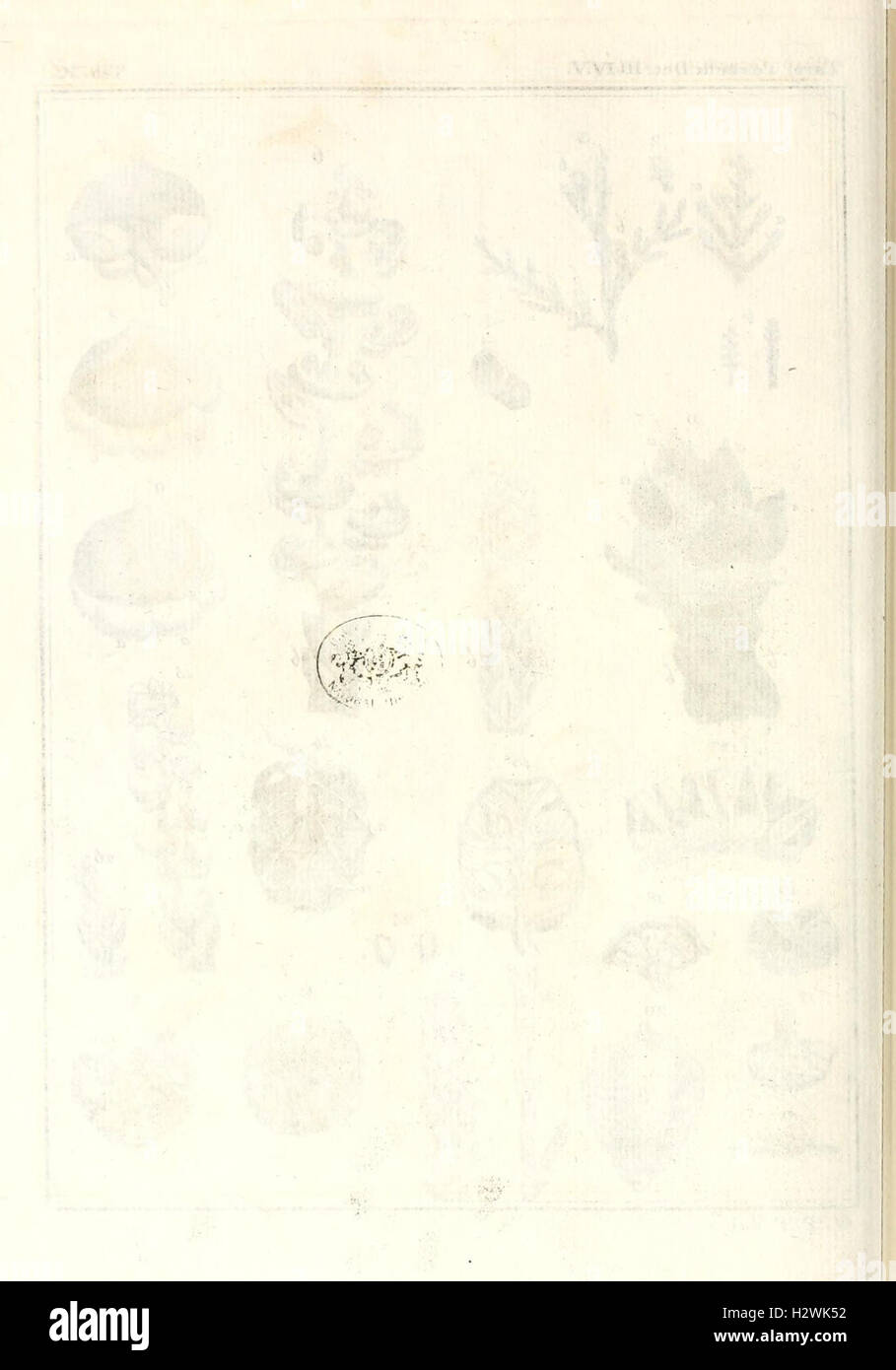 Annali del Museo Imperiale di Fisica e Storia Naturale di Firenze BHL79