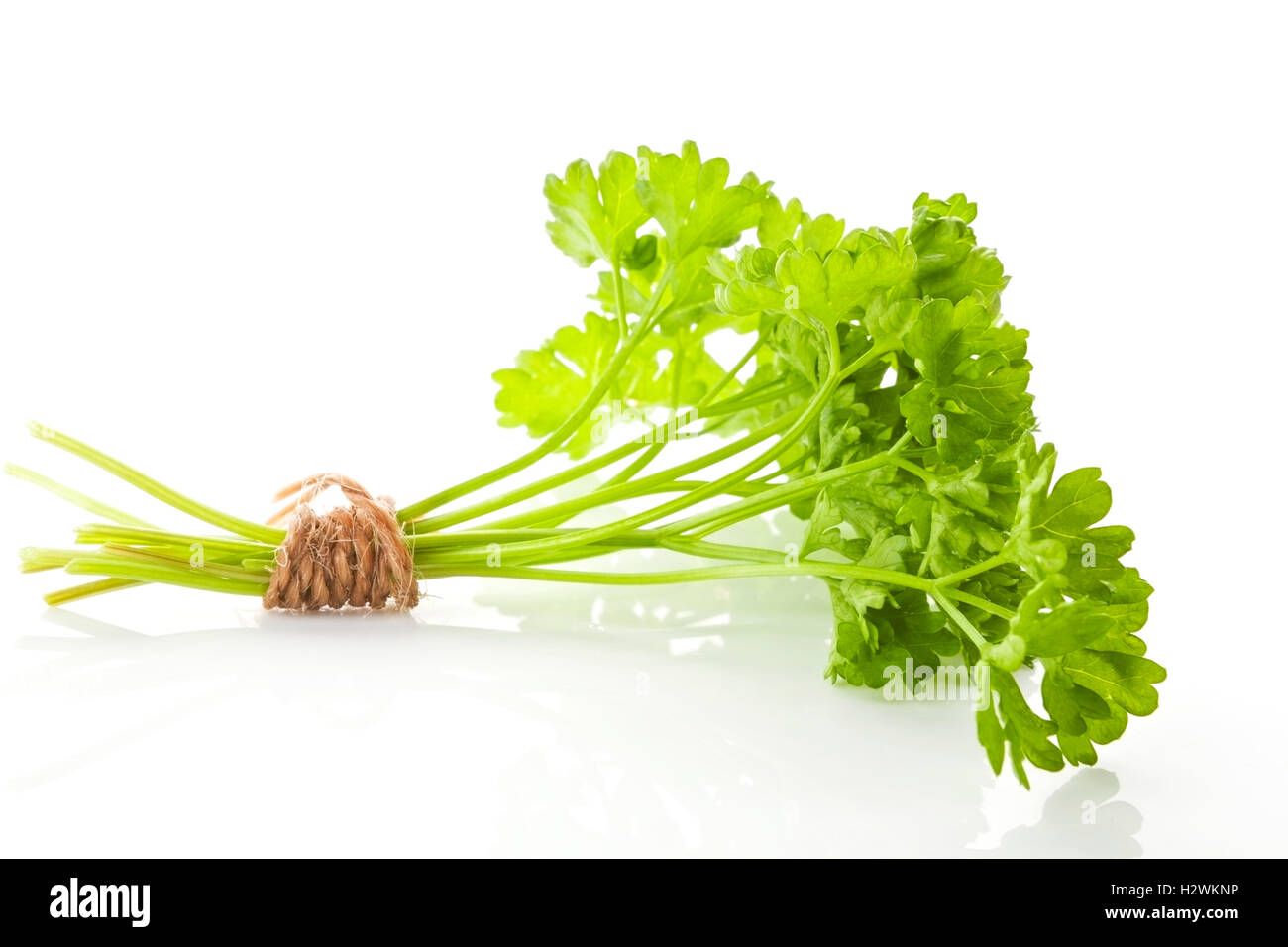 Parsley bunch isolated Stock Photo Alamy
