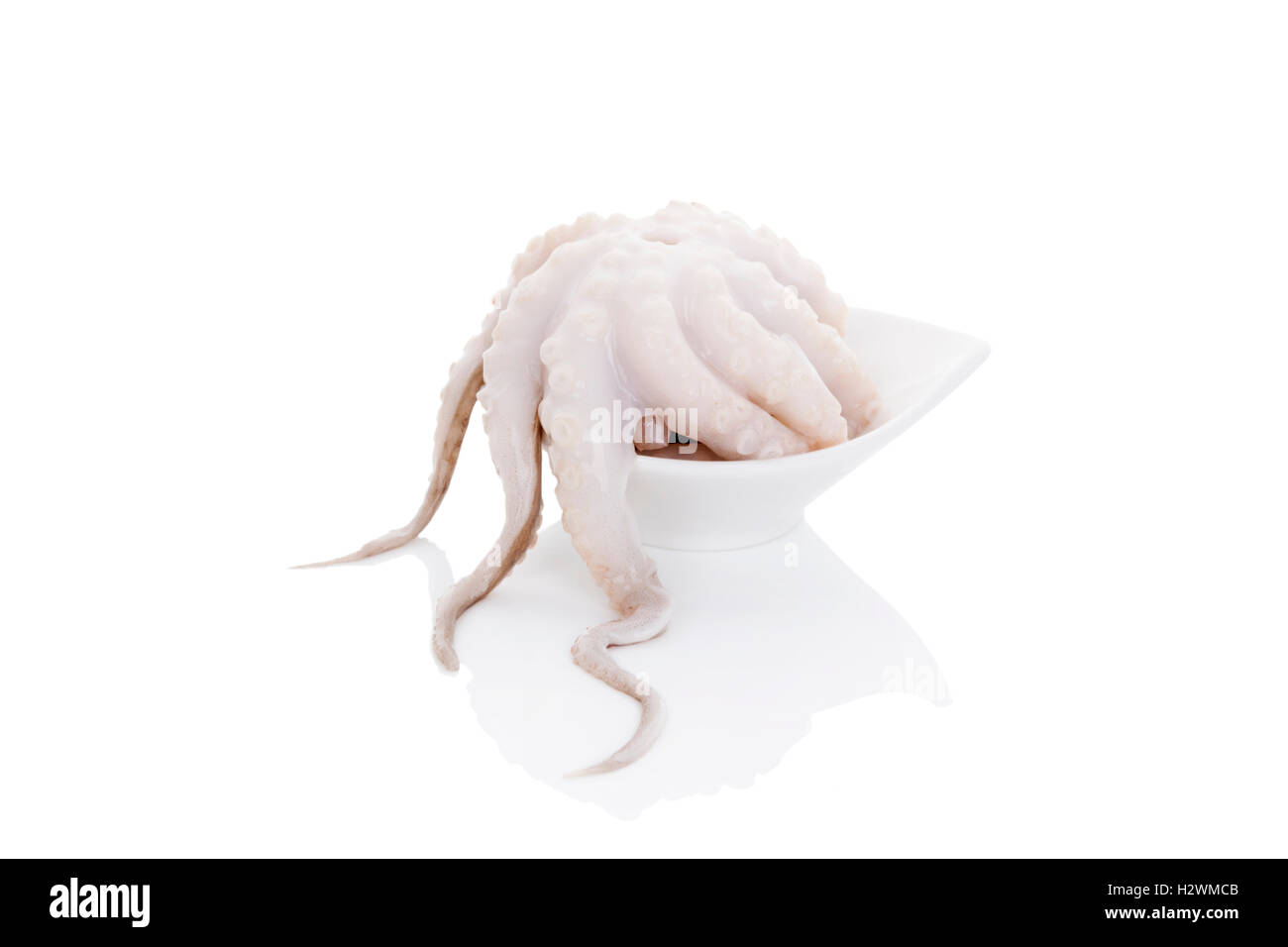 Octopus tentacles close up Cut Out Stock Images & Pictures - Alamy