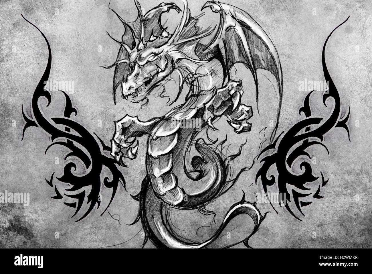Dragon tattoo design hi-res stock photography and images - Alamy