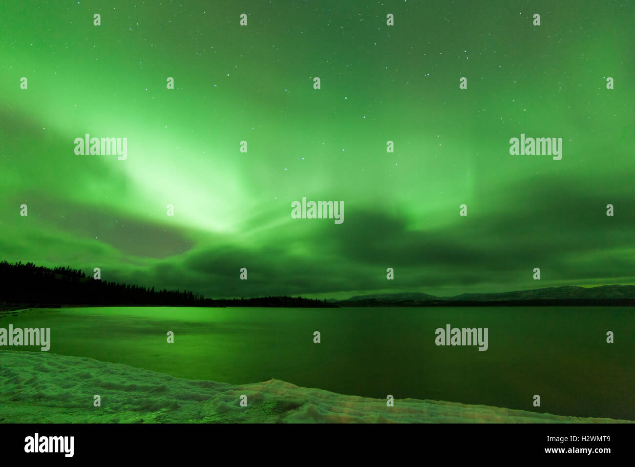 Northern Lights night sky over frozen Lake Laberge Stock Photo - Alamy