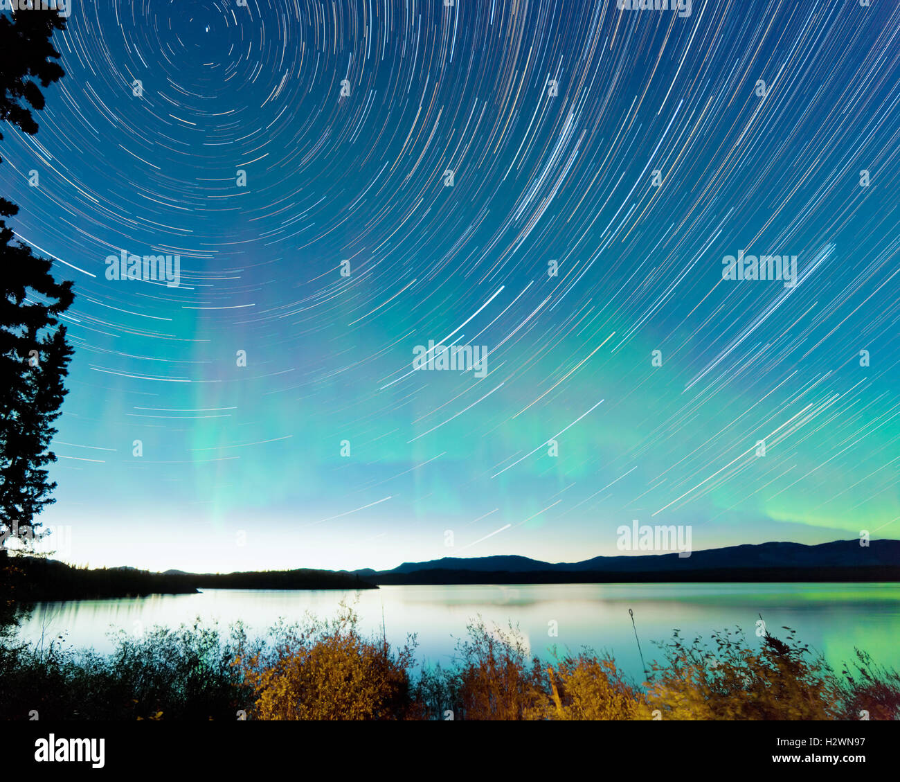 Startrails Aurora borealis display Lake Laberge Stock Photo - Alamy