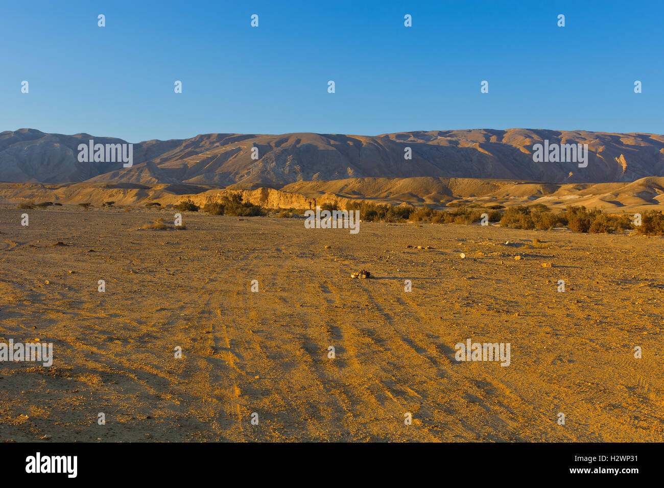 Middle east countryside road hi-res stock photography and images - Alamy