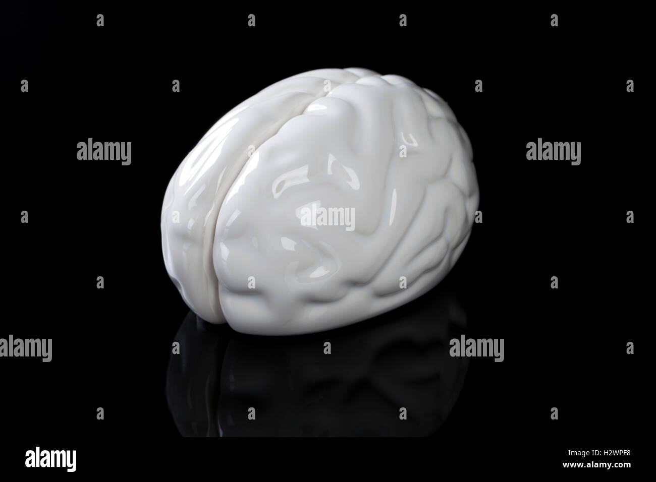 Left brain hi-res stock photography and images - Alamy