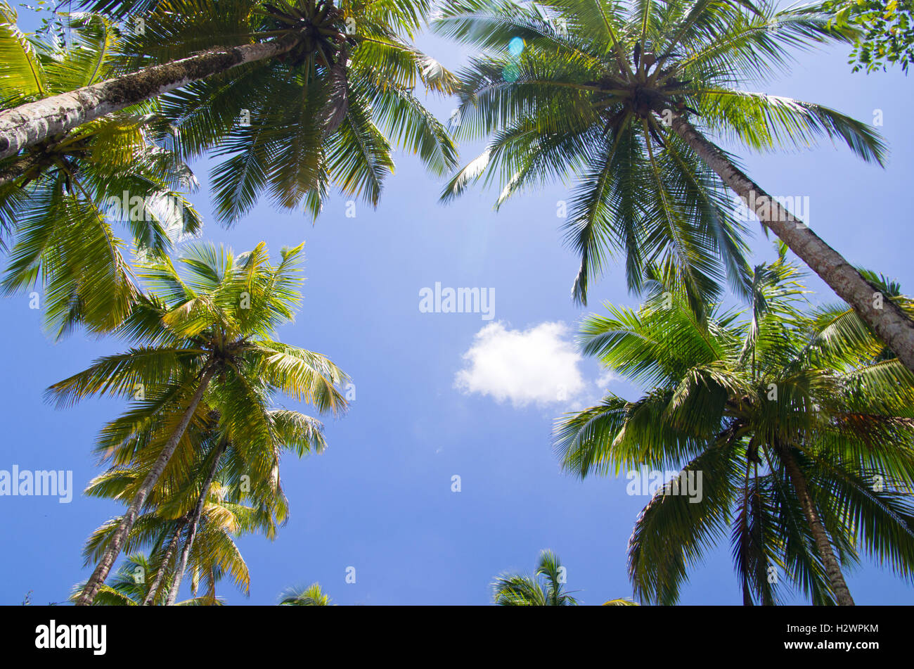 The wilds hi-res stock photography and images - Alamy