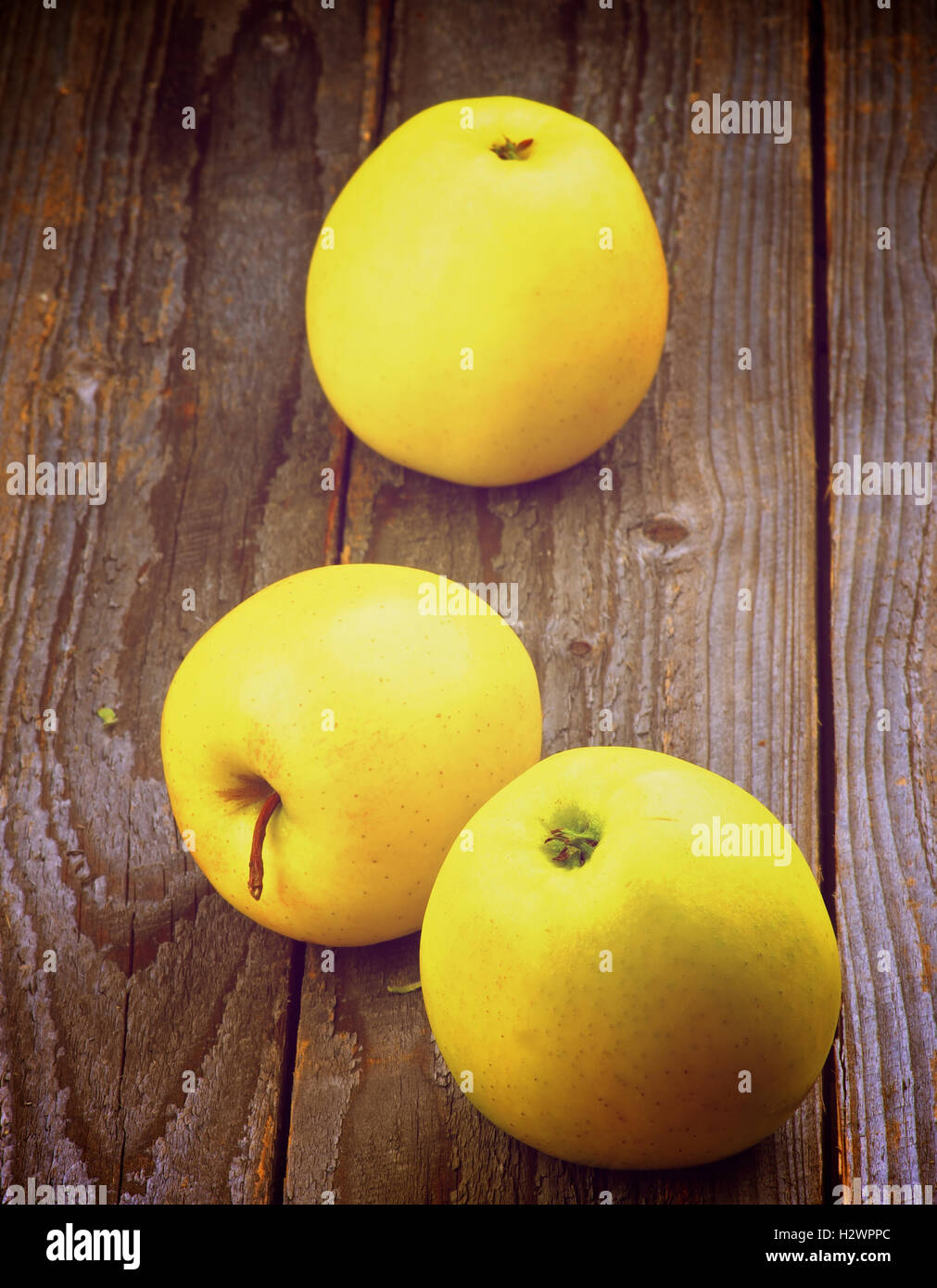 Yellow Apples Stock Photo