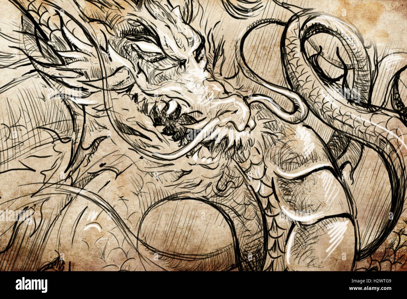 japanese dragon head, Tattoo sketch, handmade design over vintag Stock  Photo - Alamy, image size:1300x956