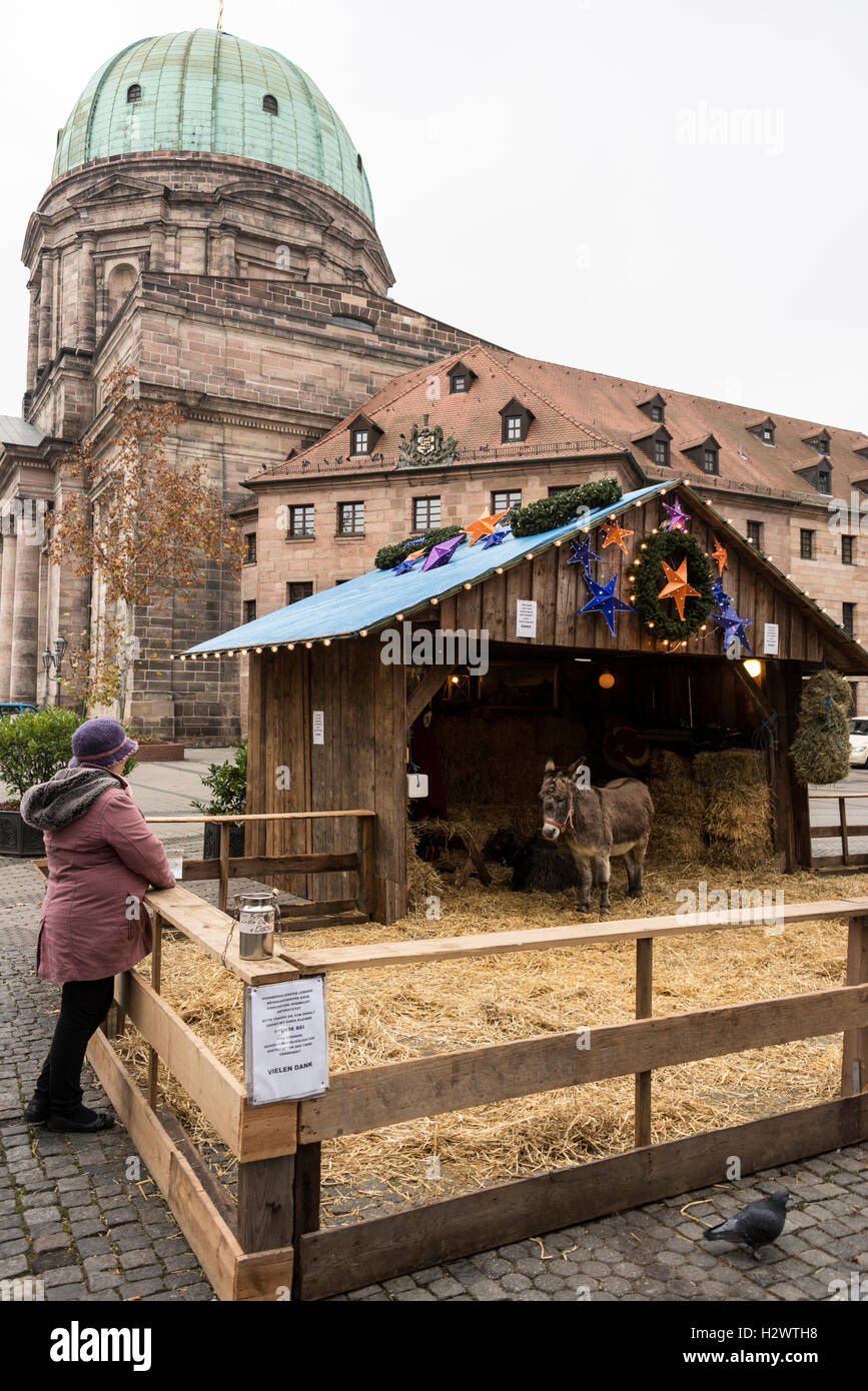 A traditional nativity stable setting complete with live animals as part of the Nuremberg Christmas market festival in Nuremberg Stock Photo