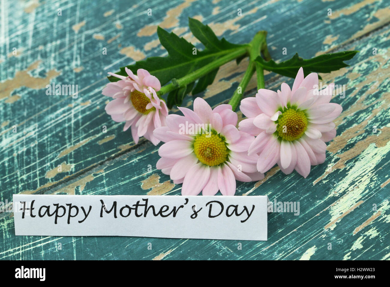 Happy Mother's Day card with pink daisy flowers on rustic surface Stock Photo