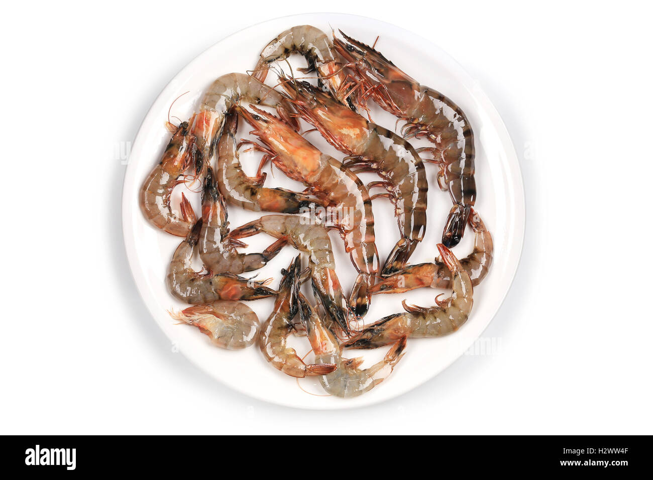 Raw shrimp on a white table Stock Photo - Alamy