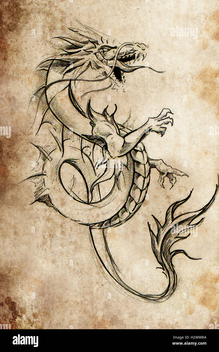Dragon lizzard, Tattoo sketch, handmade design over vintage pape Stock Photo