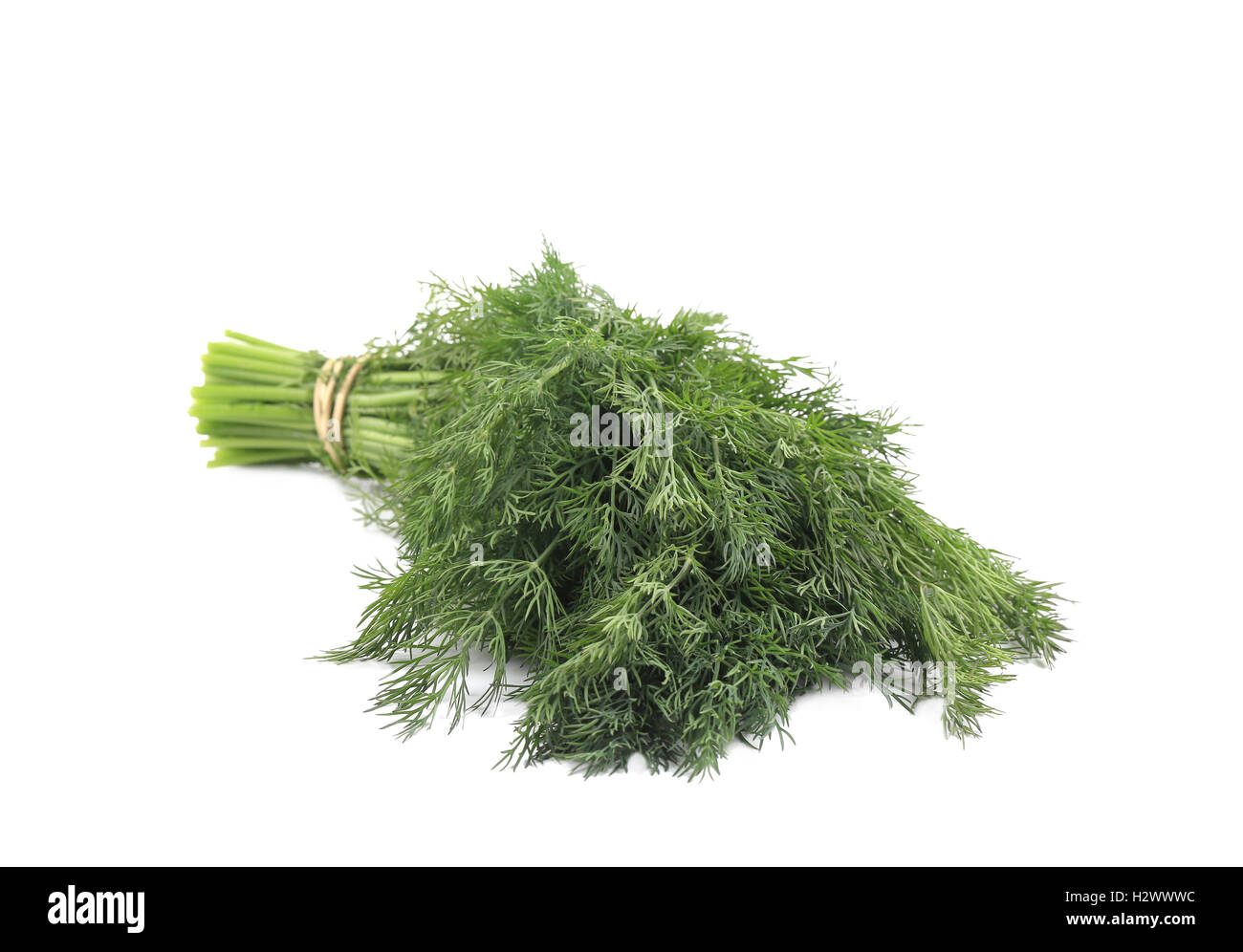 Bunch of fresh dill Stock Photo Alamy