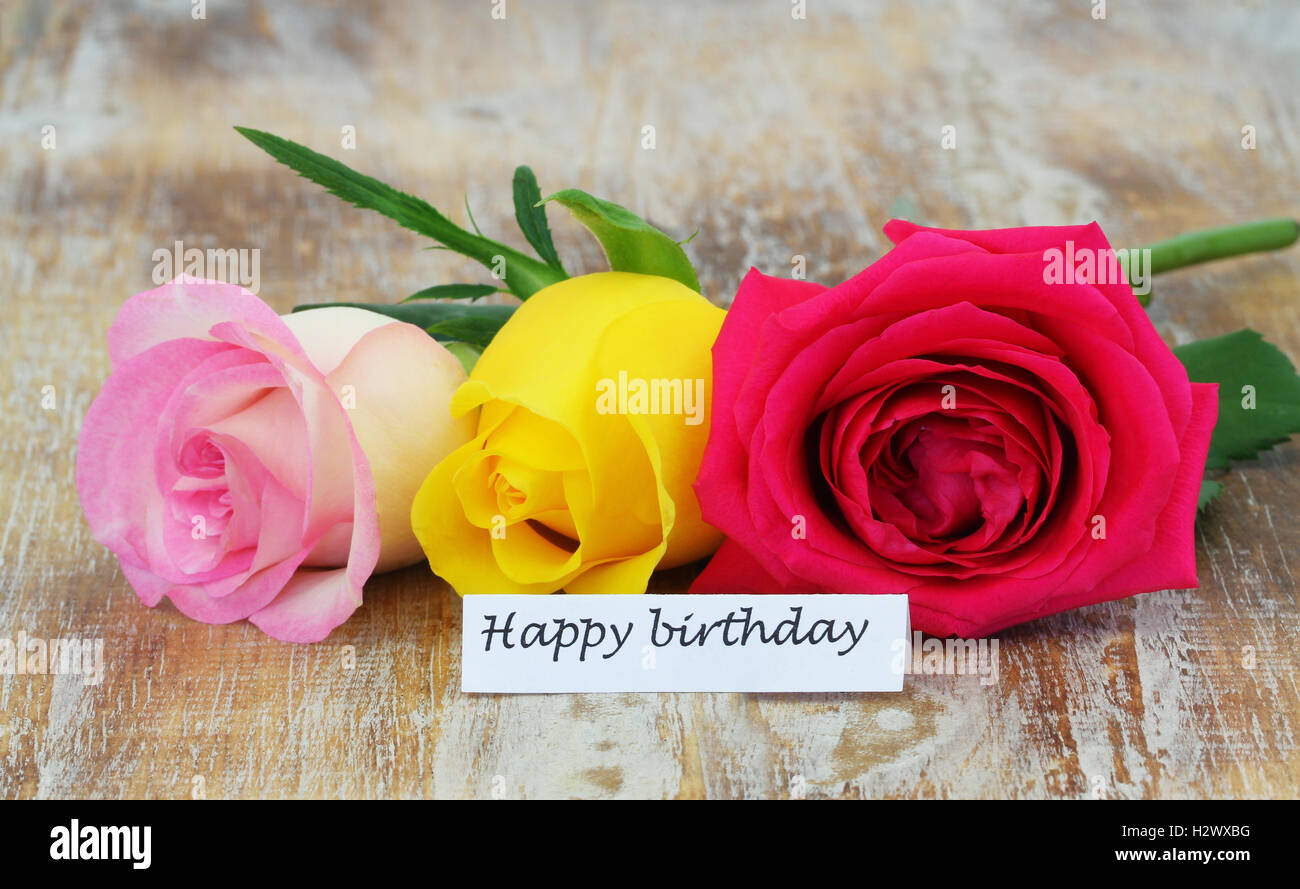 Happy Birthday! Vase with Beautiful Rose Flowers on Table Near White Brick  Wall Stock Photo - Image of event, petal: 221551430