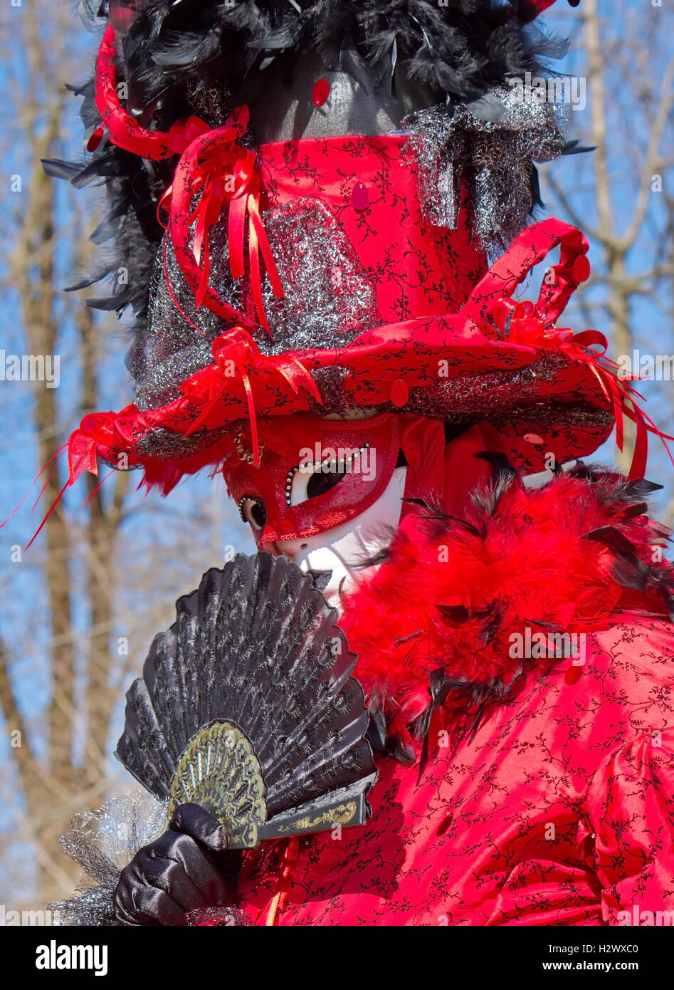 Venetian carnival at Annecy, France Stock Photo