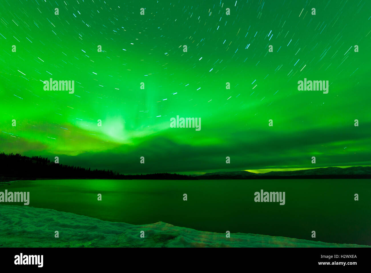 Aurora borealis starry night sky over Lake Laberge Stock Photo - Alamy