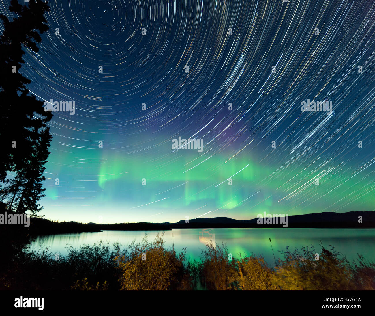 Startrails Northern Lights display Lake Laberge Stock Photo - Alamy