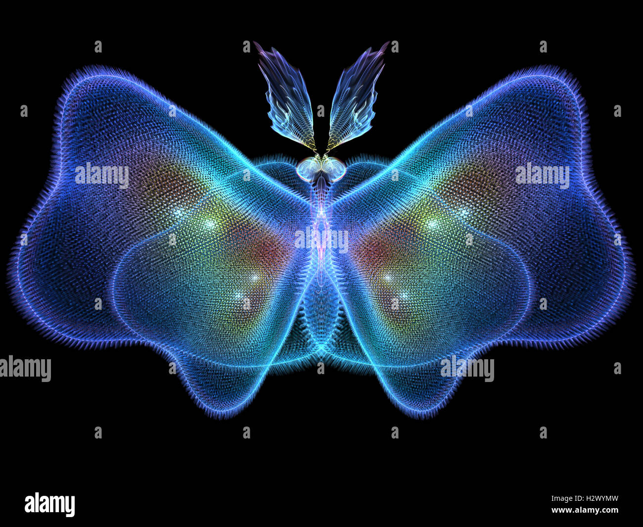 Flatter symmetry hi-res stock photography and images - Alamy