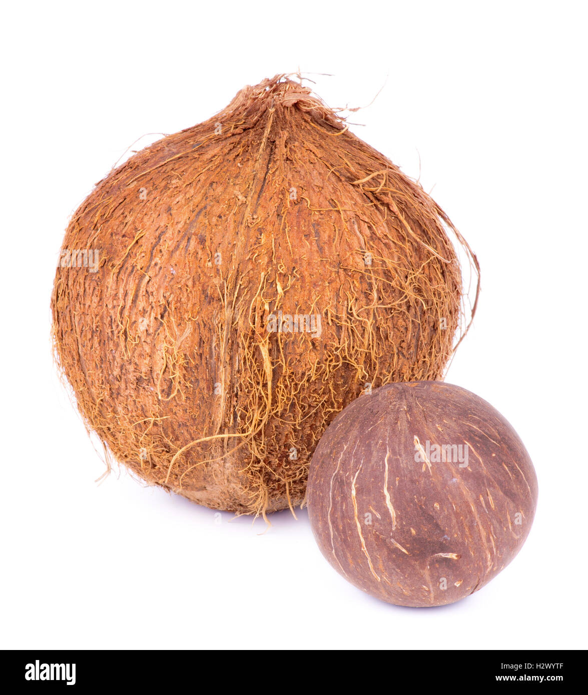 Small coconuts Cut Out Stock Images & Pictures Alamy