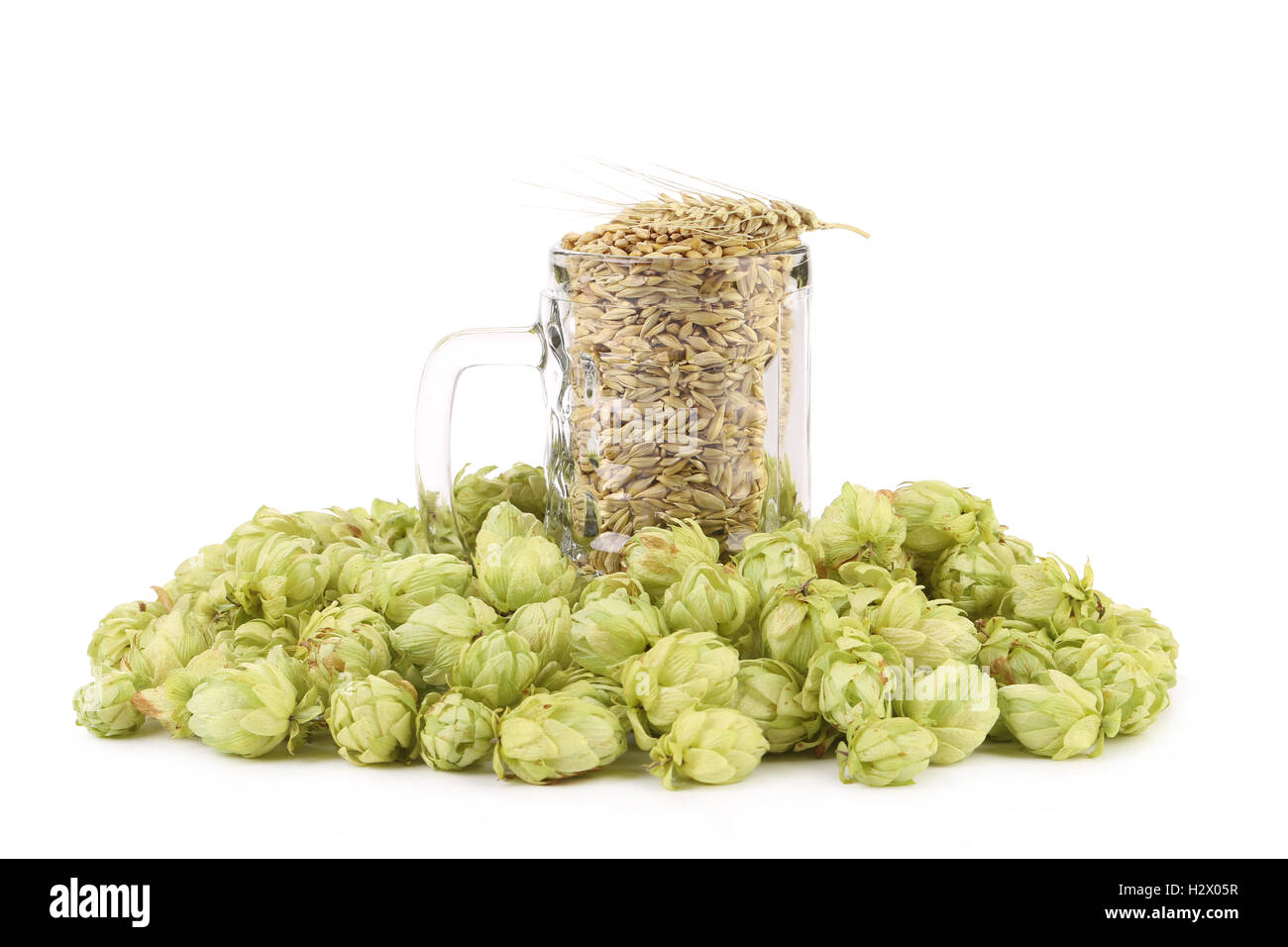 Glass full of barley and hops. Stock Photo