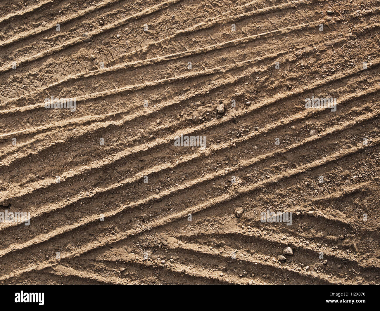 crime scene tire tracks Stock Photo