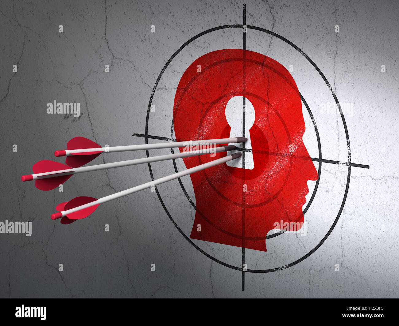 Information concept: arrows in Head With Keyhole target on wall ...