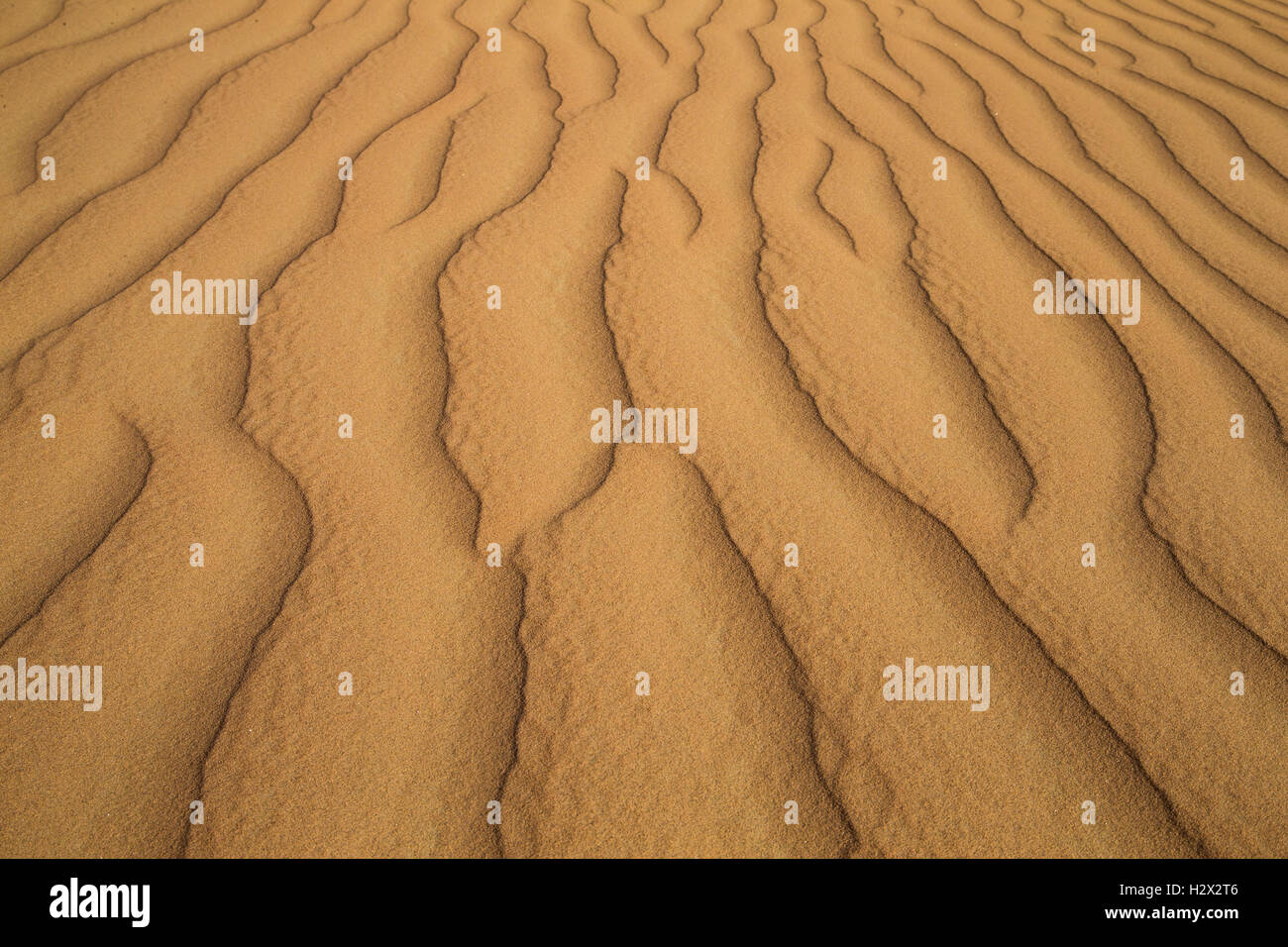 Pattern of sand dunes in the Emty Quarter desert that is covering large area in UAE, KSA and Oman Stock Photo