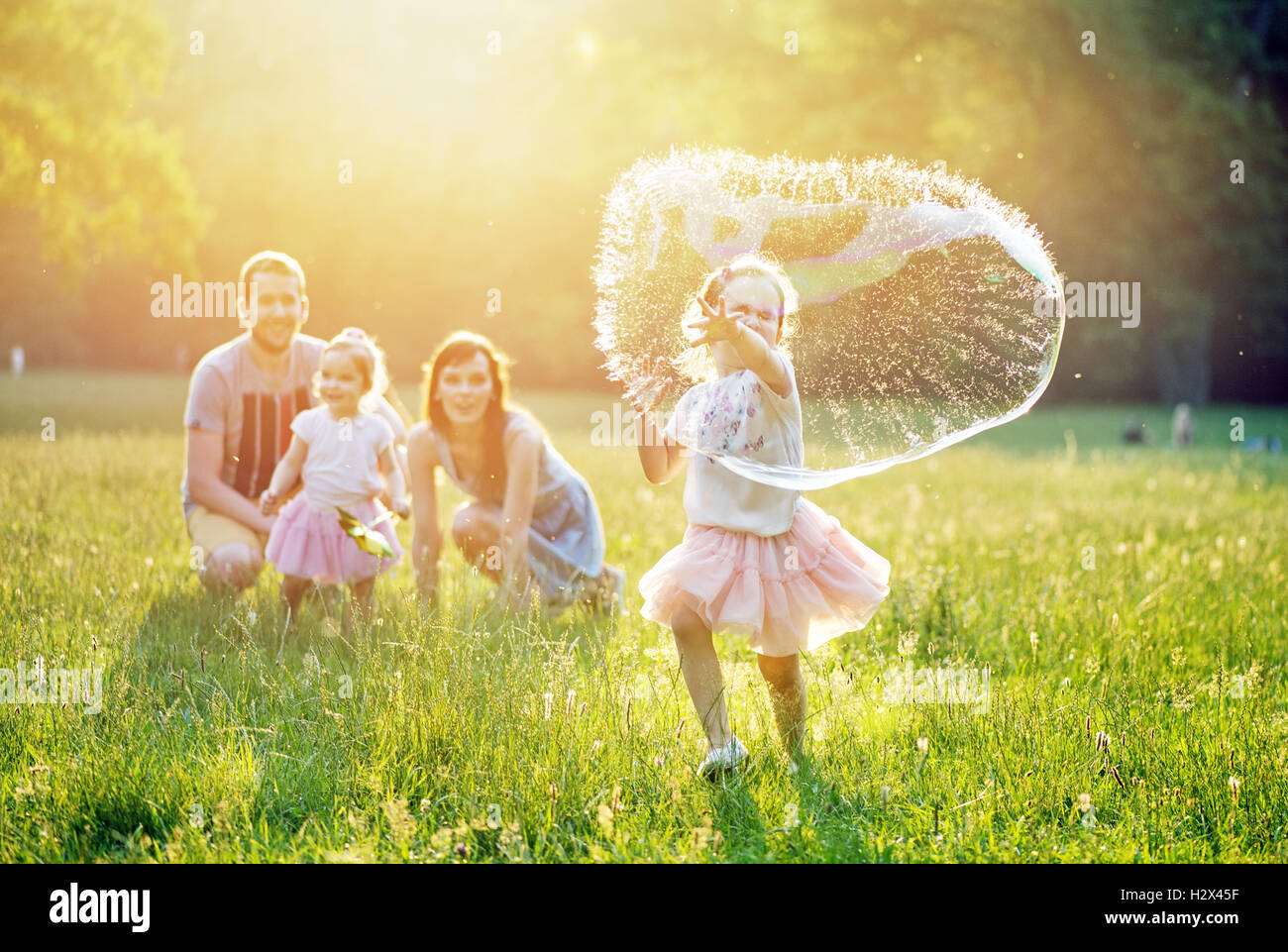 Portrait of a happy family resting in the summer park Stock Photo - Alamy