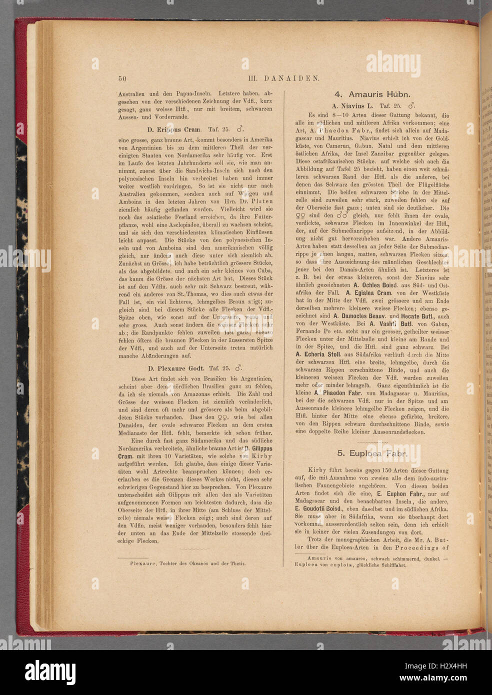 Exotische schmetterlinge (Page 50) BHL400 Stock Photo