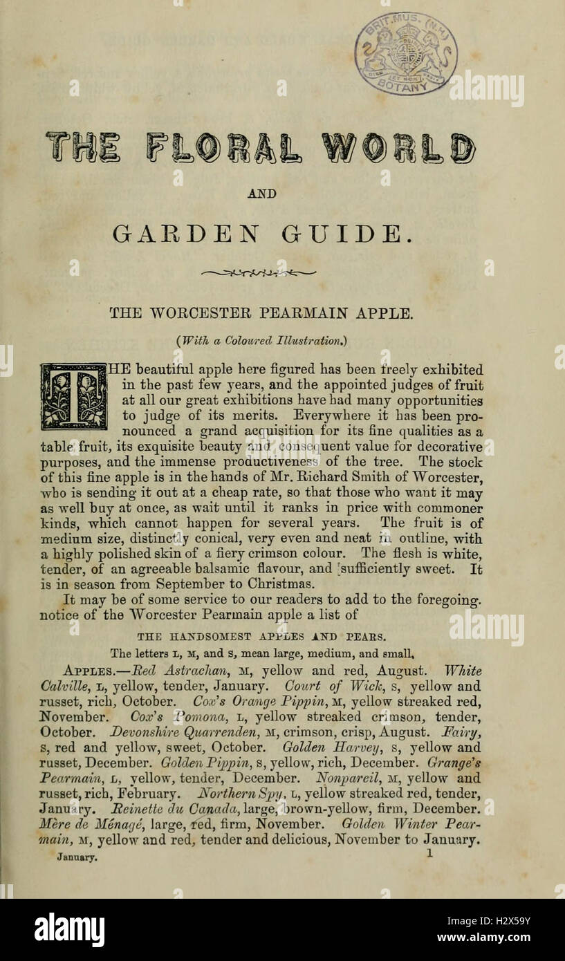 Garth Grimgar's Guide to the Flora of the Dying World main image 0