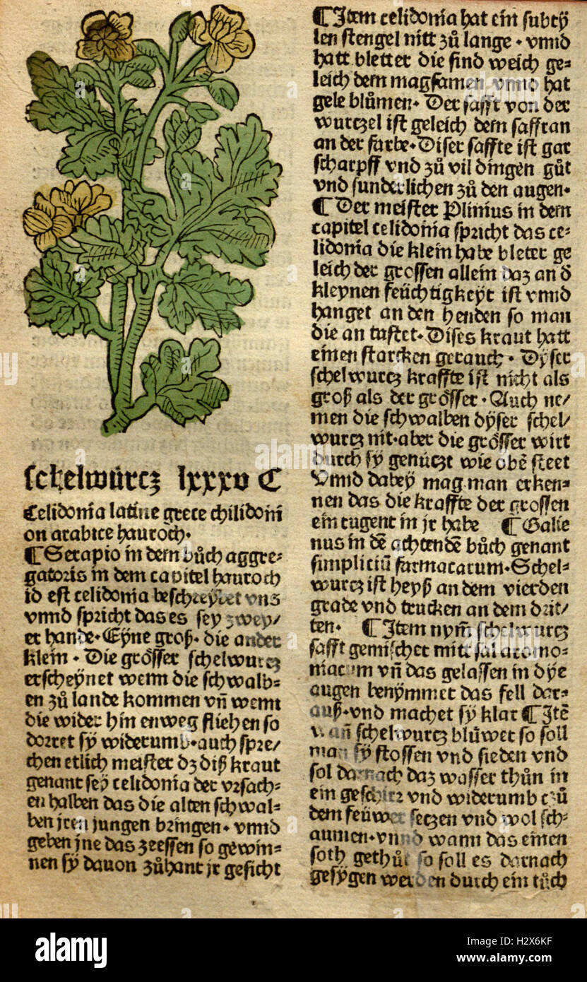 Gart der Gesundheit (Page (119)) BHL62 Stock Photo Alamy