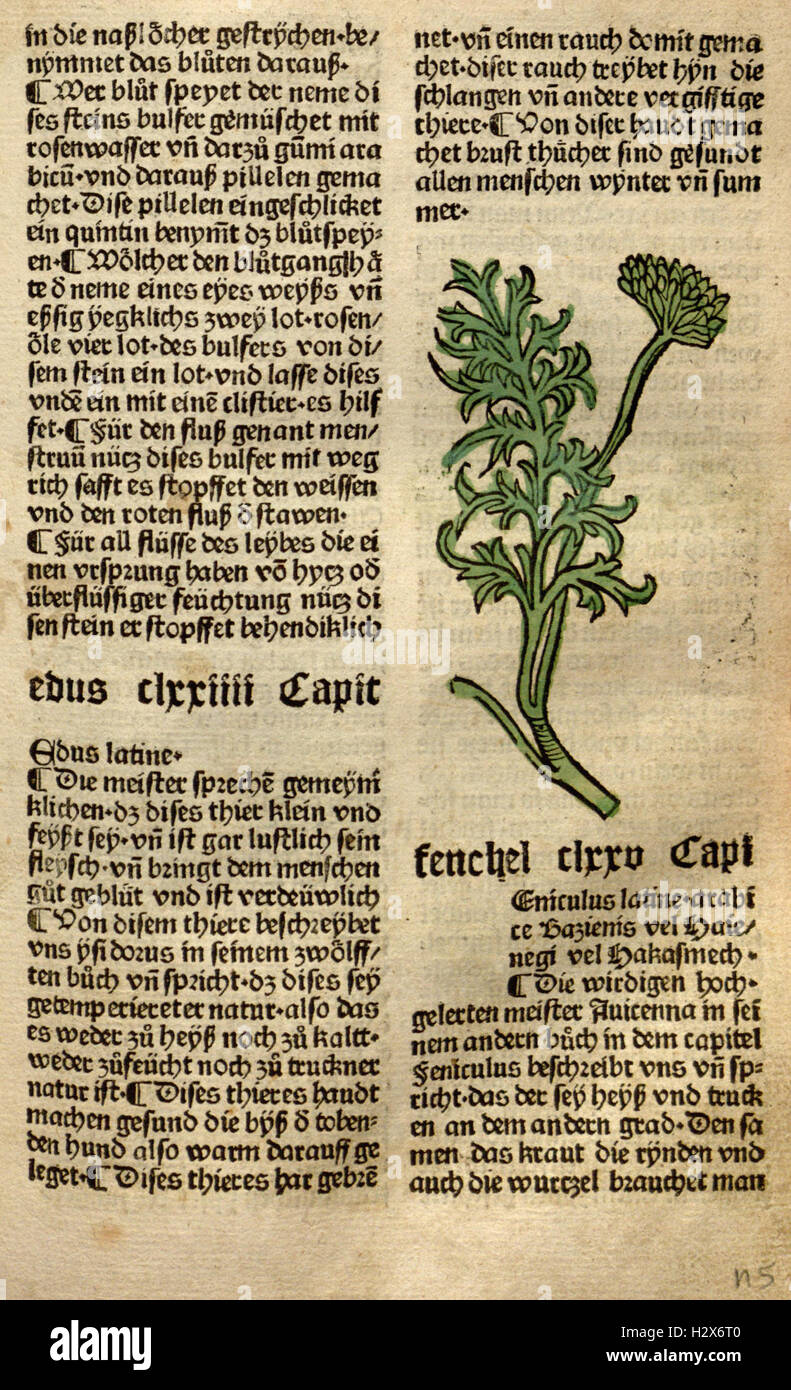 Gart der Gesundheit (Page (214)) BHL62 Stock Photo Alamy