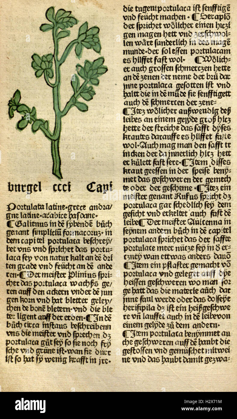 'Gart der Gesundheit' provides medicinal and healthrelated information